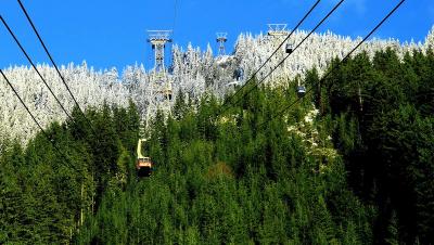 Прикрепленное изображение: half-n-half.jpg